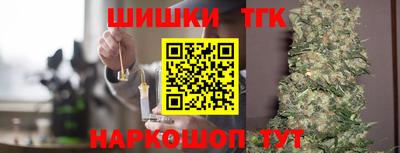 тгк Можга