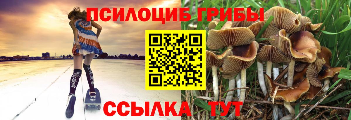 Псилоцибиновые грибы Magic Shrooms Волхов